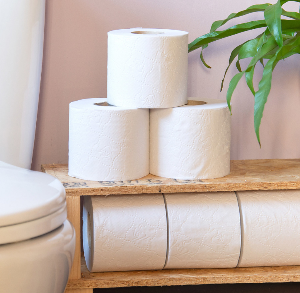 Serious Tissues the ecofriendly alternative to toilet paper