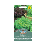 Mr-Fothergills-Lettuce-Salad-Bowl-Red-&-Green-Mixed-Seeds-17329-Main-web