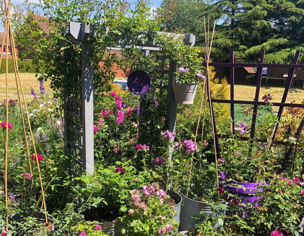 Transform your garden into a haven for wildlife