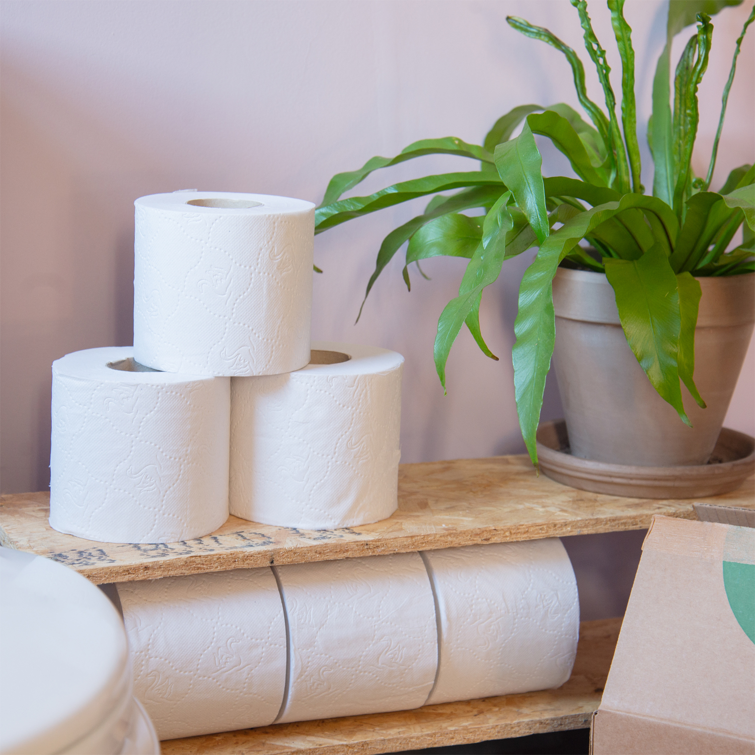 Serious Tissues the ecofriendly alternative to toilet paper