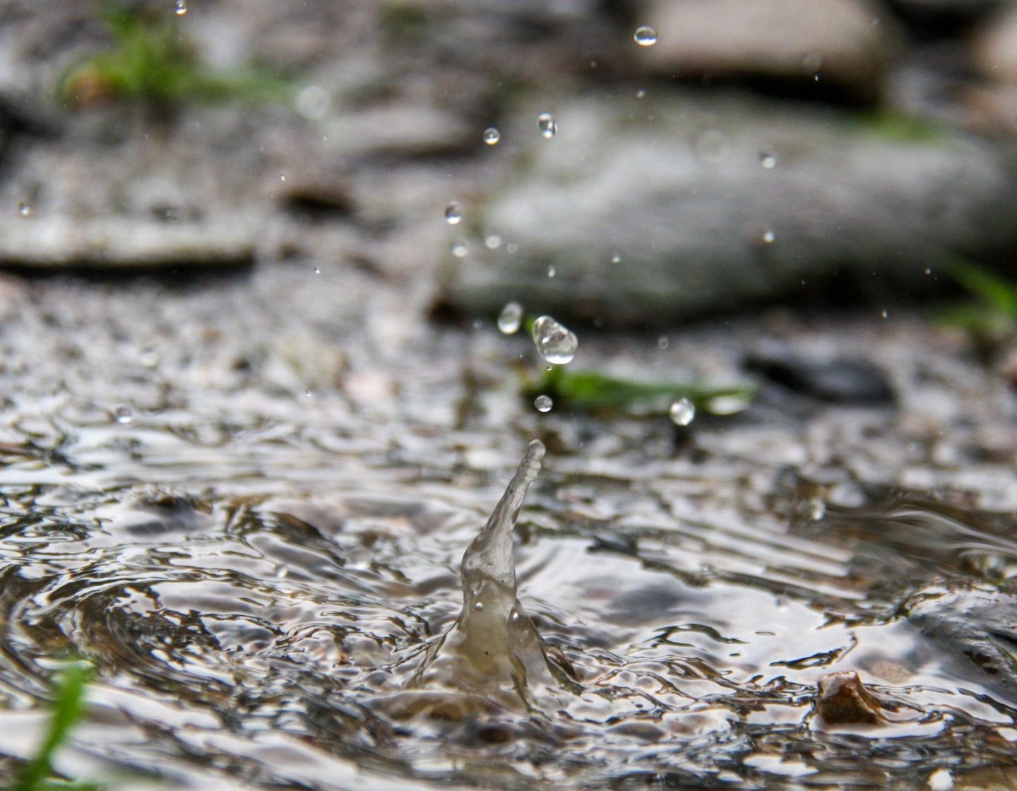 rain-water-1440-x-1120