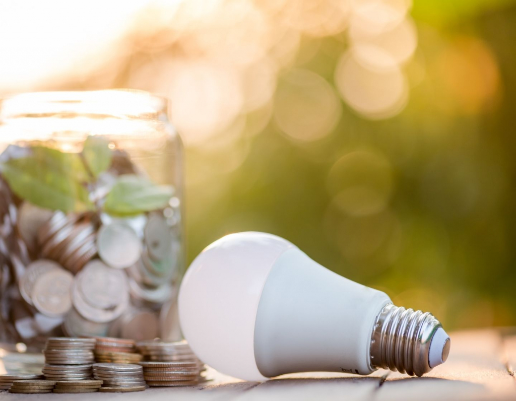 10 Easy Ways to Reduce Your Business’s Carbon Footprint and Save Money