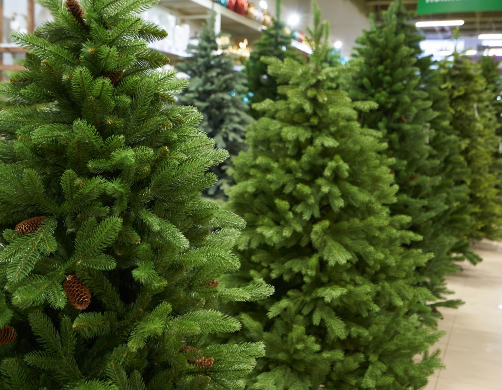 What’s the most ecofriendly Christmas tree?