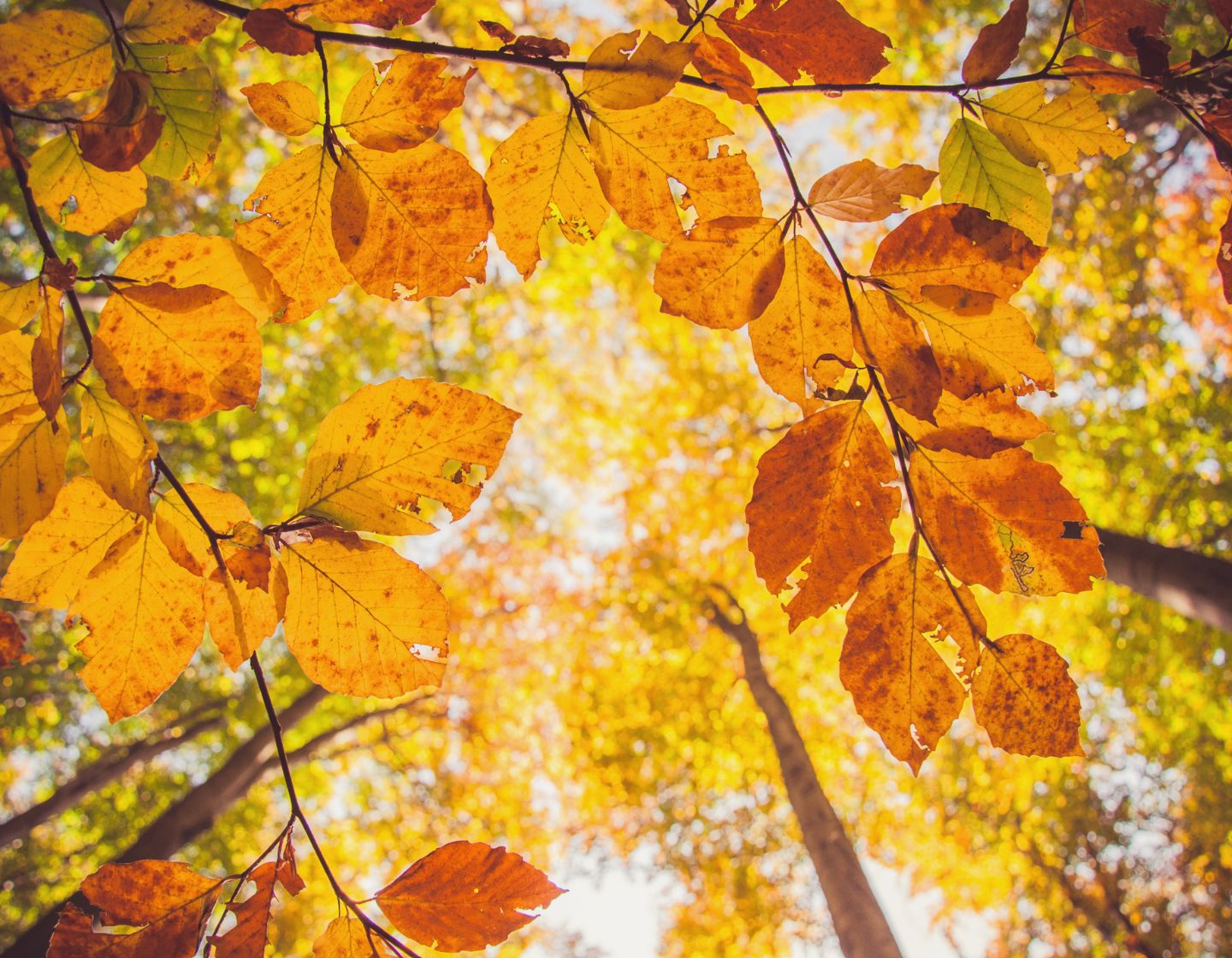 What Happened In The World Of Sustainability In September 2022 what-happened-in-the-world-of-sustainability-in-september-2022