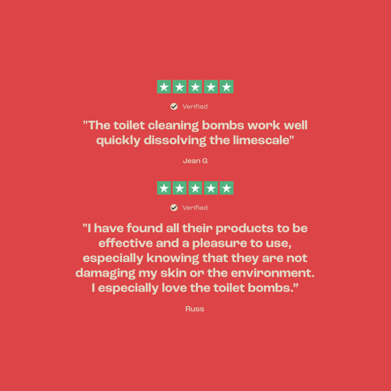 Bide-Toilet-Fizzy-Customer-Review