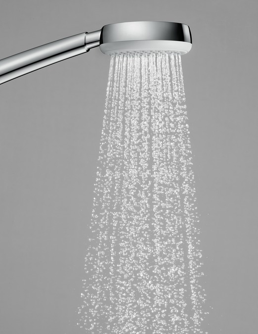 hansgrohe Crometta 100 1Jet EcoSmart Shower Head 7lpm