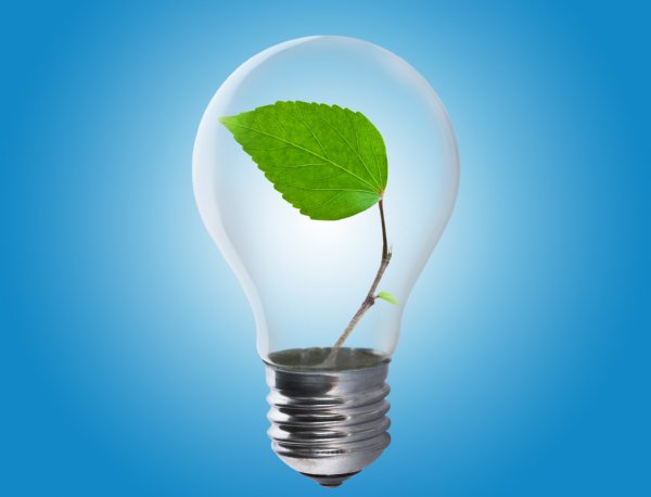 LED lightbulb for home energy saving blog post