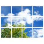 sky-1-Branches-12-sq