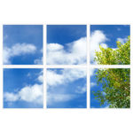 sky-1-Branches-6-sq