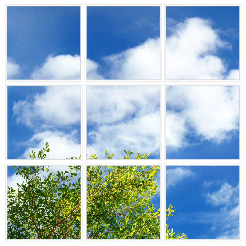 sky-1-Branches-9-sq